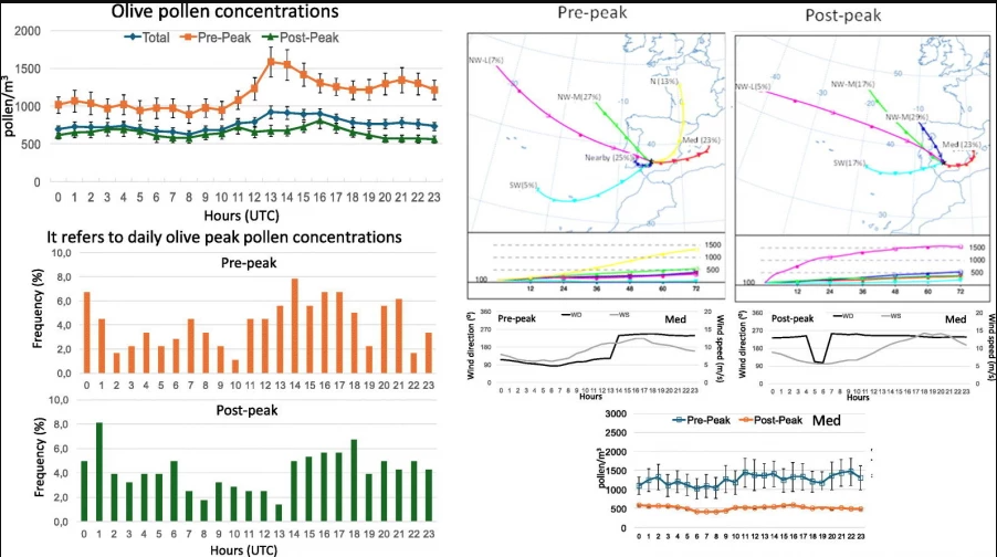 Nuevo mapa predictivo del polen del olivo: un avance clave para la producción y la calidad del aceite