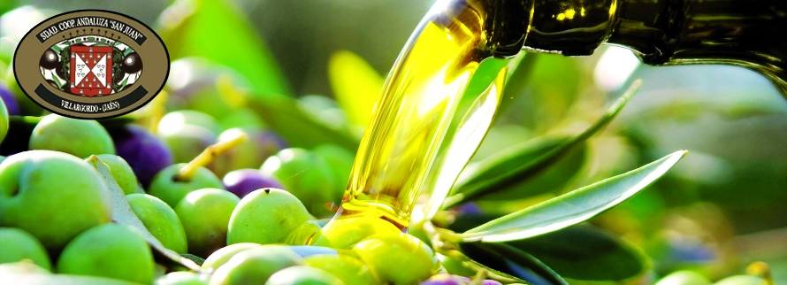 La producción de aceite de oliva se incrementa un 32% esta campaña
